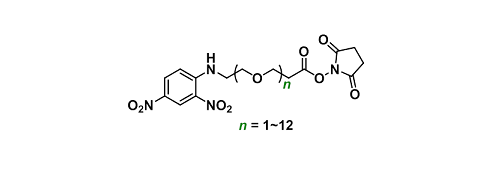 DNP-PEGn-NHS ester